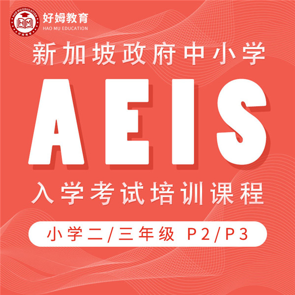 【P2/3】AEIS新加坡政府学校入学考试-高效通关
